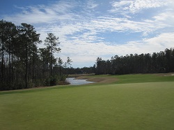 Golf Brunswick Forest Leland NC